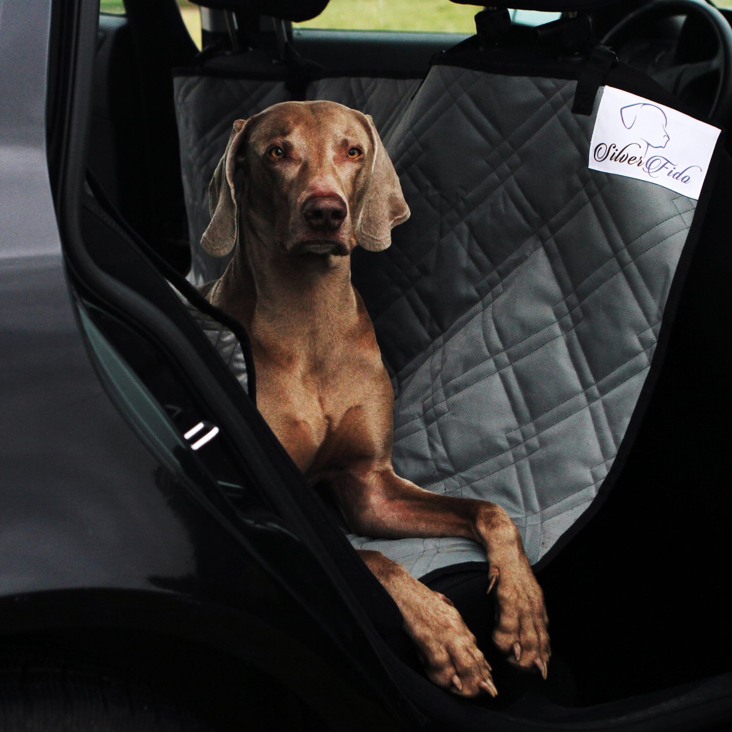 Dog Seat Covers For Cars by SilverFido